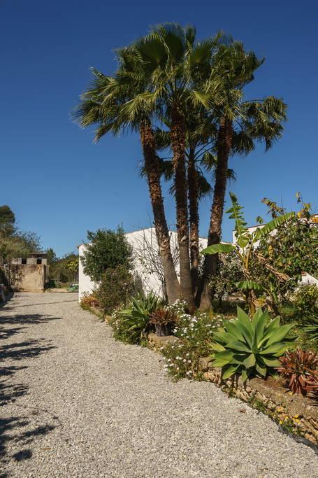 Can Beia Rural House Ibiza Nuestra Señora de Jesus المظهر الخارجي الصورة